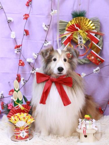 20230117カレンちゃん